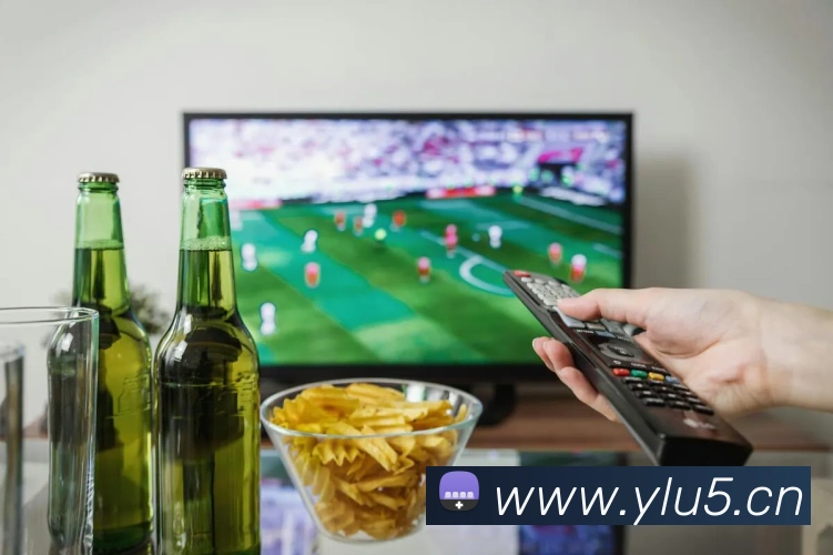 熊猫体育中国官方网站发展历程